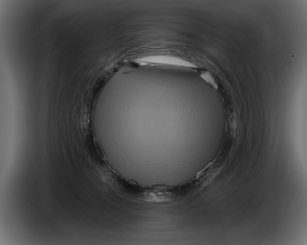 X0000086020372200704131855