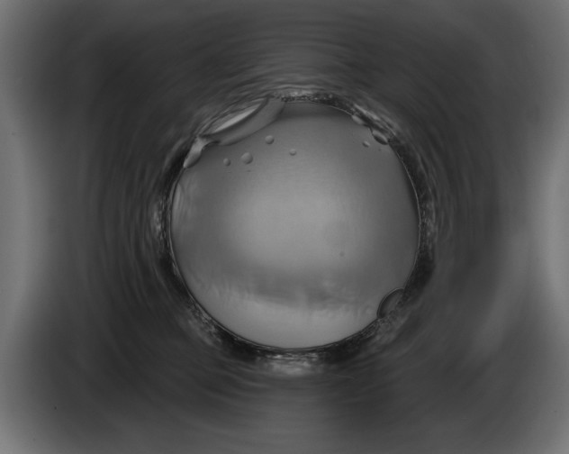 X0000086020373200704131855