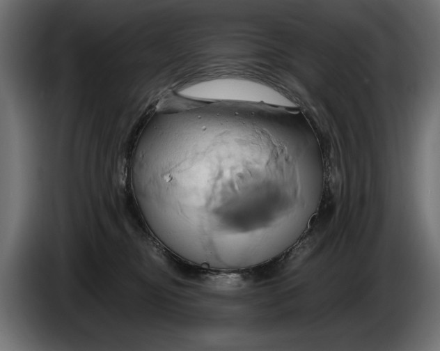 X0000086020374200704131855
