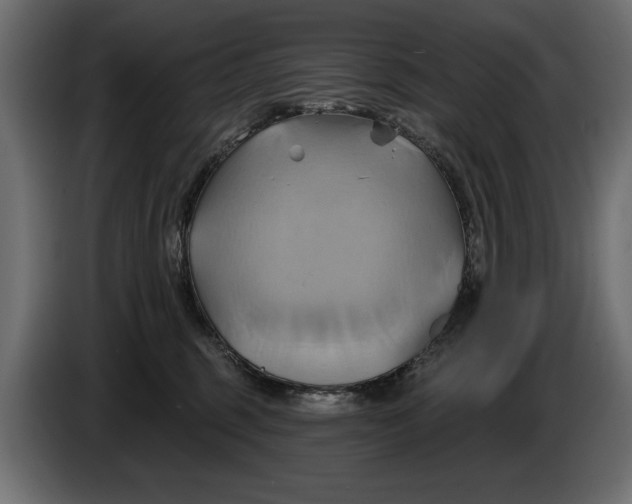 X0000086020375200704131855