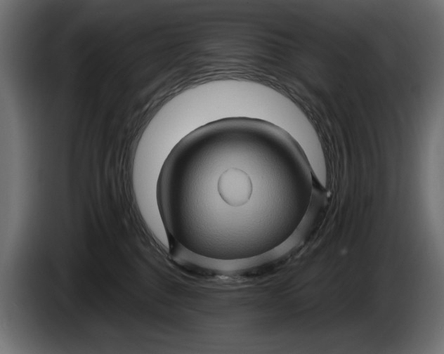 X0000086020376200704131855