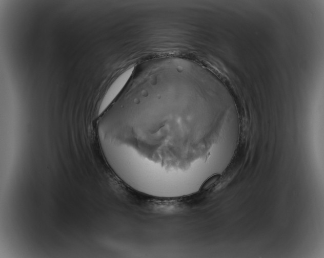X0000086020377200704131855