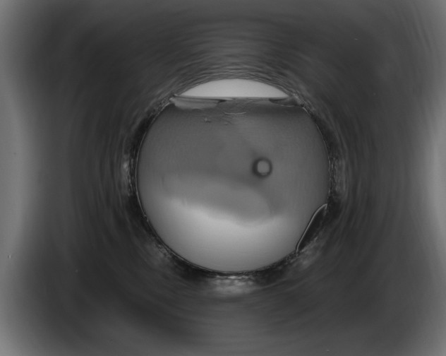 X0000086020378200704131855