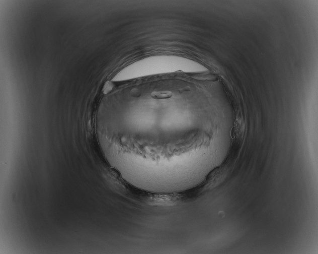 X0000086020381200704131855