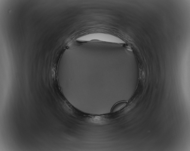 X0000086020382200704131855