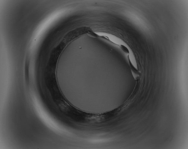 X0000086020383200704131855