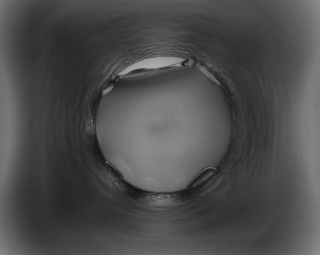 X0000086020384200704131855