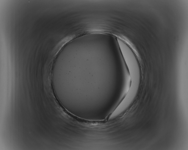 X0000086020385200704131854
