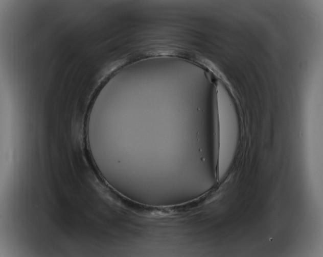 X0000086020386200704131854
