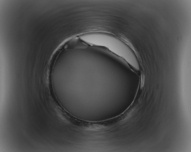 X0000086020387200704131854