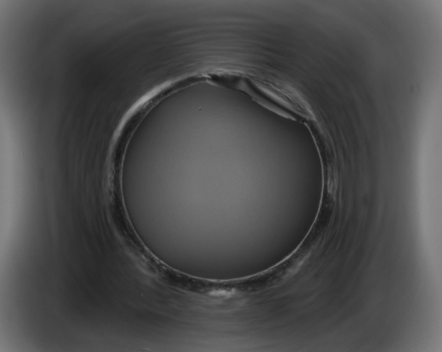 X0000086020388200704131854