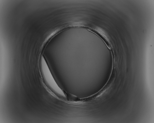 X0000086020389200704131854