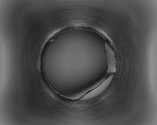 X0000086020391200704131854