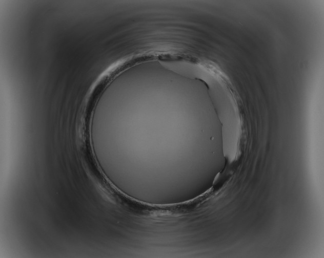 X0000086020392200704131854