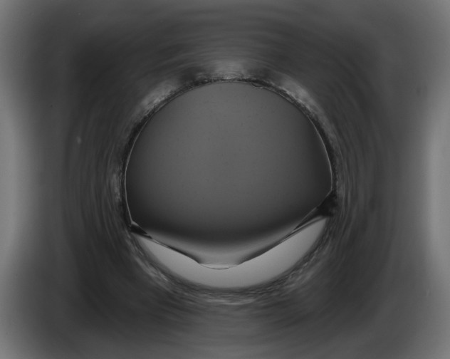 X0000086020393200704131854