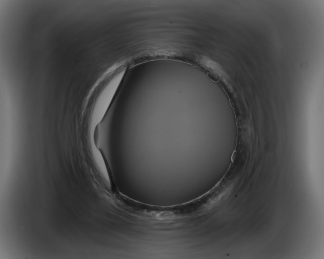 X0000086020395200704131854