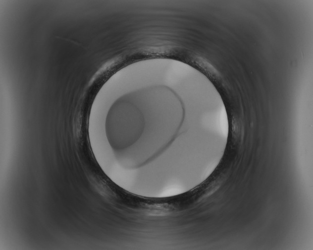 X0000086020396200704131854