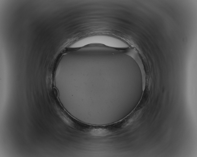 X0000086020397200704131854