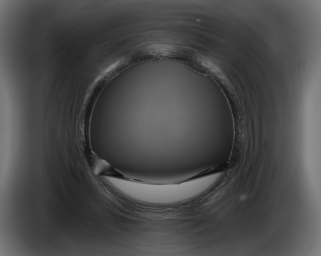 X0000086020399200704131854