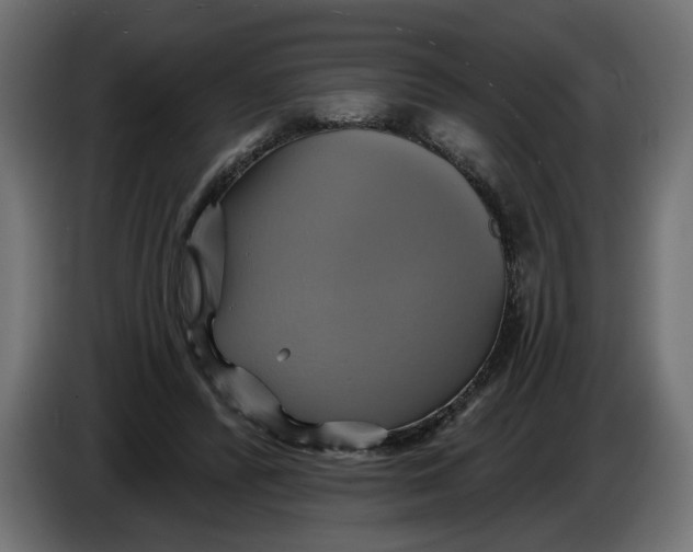 X0000086020400200704131854