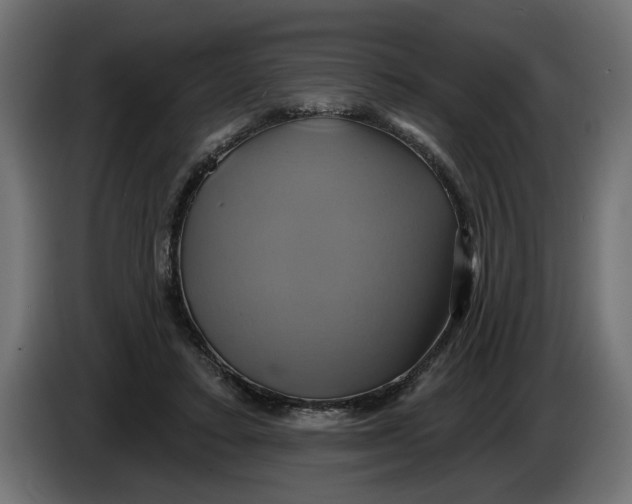 X0000086020403200704131854