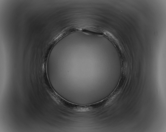 X0000086020405200704131854
