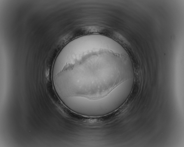 X0000086020406200704131854