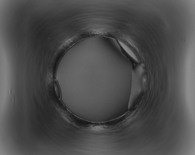 X0000086020407200704131854