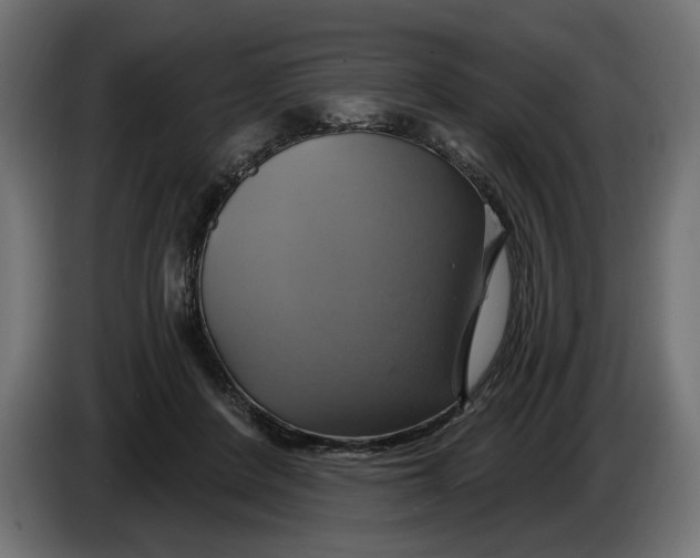 X0000086020408200704131854
