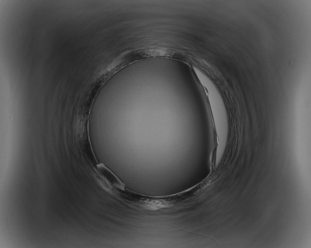 X0000086020409200704131854
