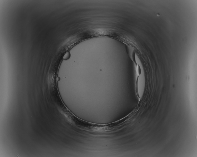 X0000086020410200704131854