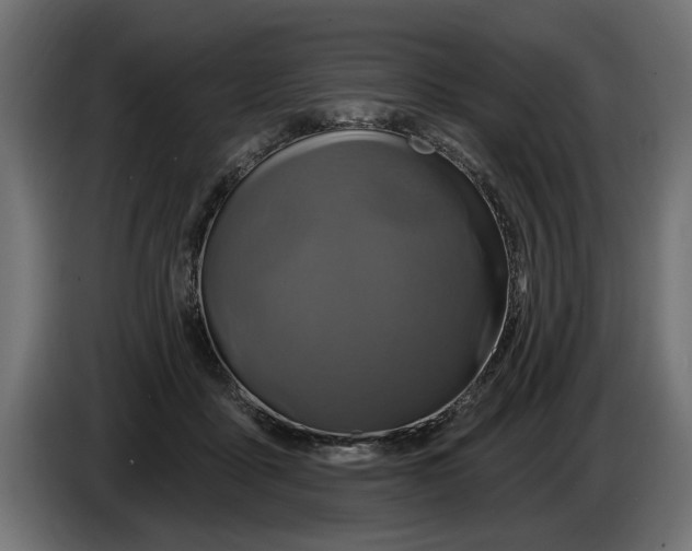 X0000086020411200704131854