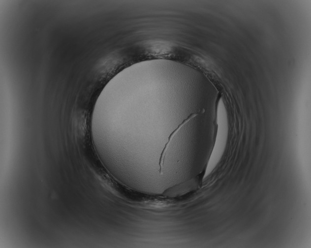 X0000086020412200704131854