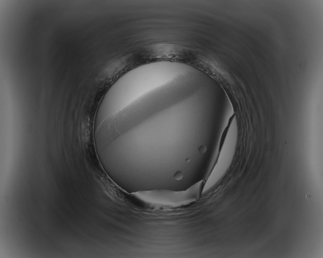 X0000086020413200704131854