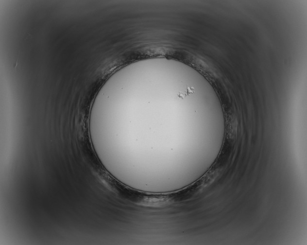 X0000086020414200704131854