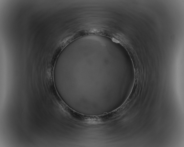 X0000086020415200704131854