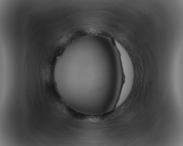 X0000086020416200704131854