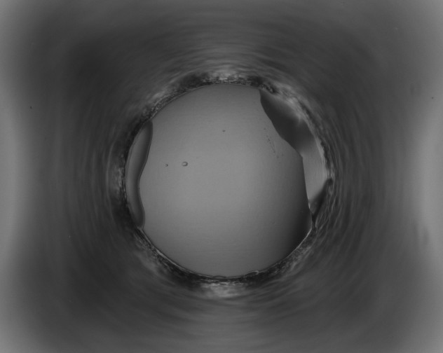 X0000086020417200704131854