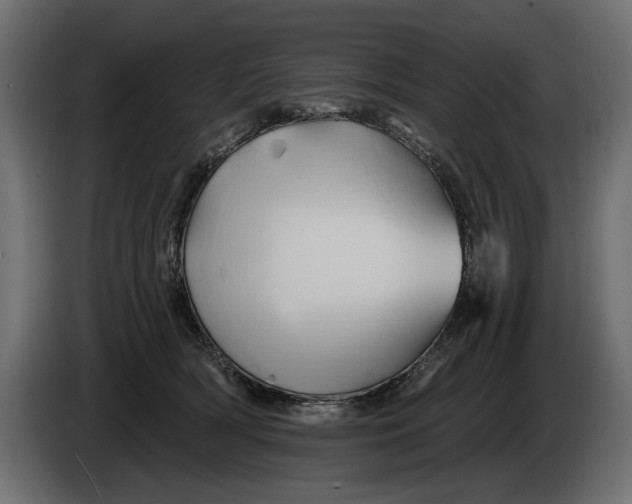 X0000086020418200704131854