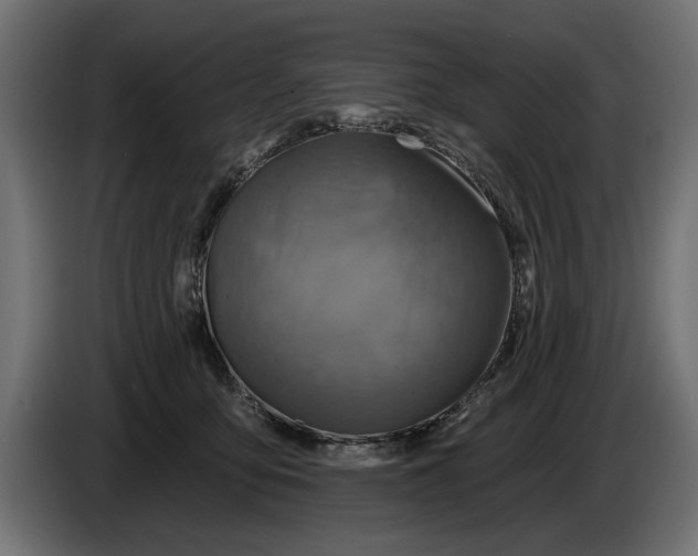 X0000086020419200704131854