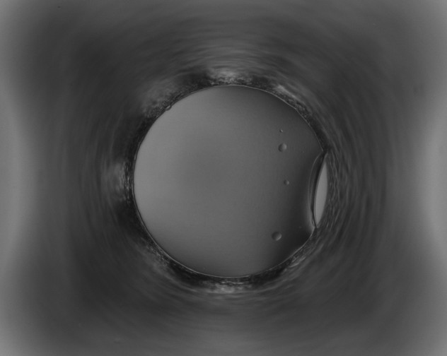 X0000086020420200704131854