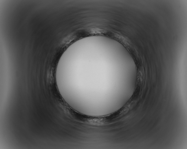 X0000086020422200704131854