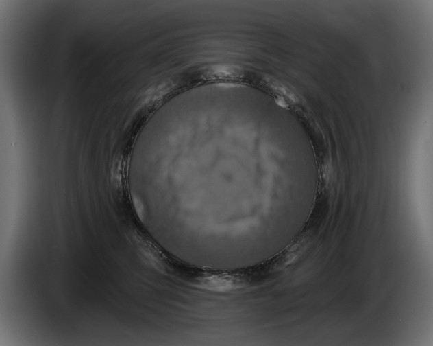X0000086020423200704131854