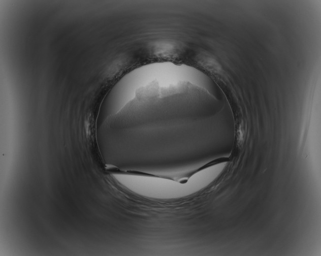X0000086020424200704131854