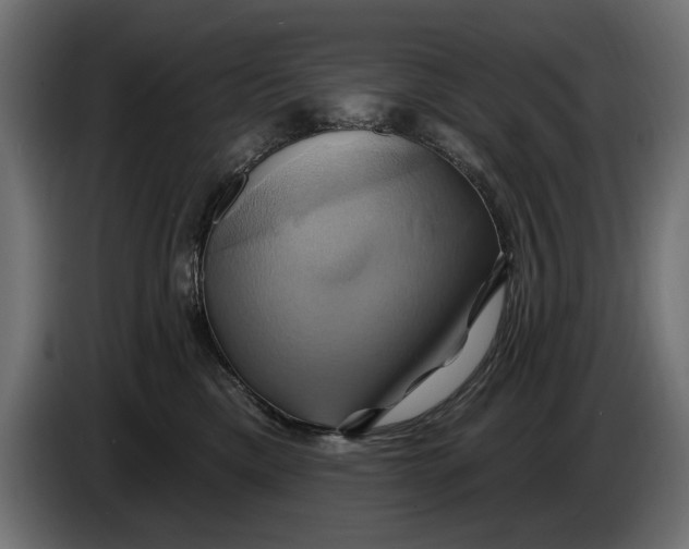 X0000086020425200704131854