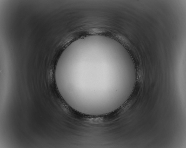 X0000086020426200704131854