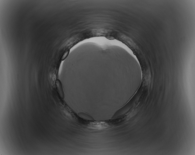 X0000086020427200704131854