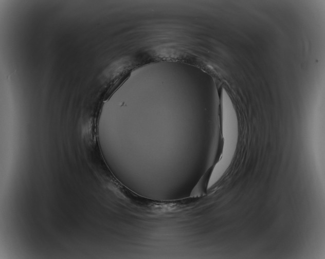 X0000086020428200704131854