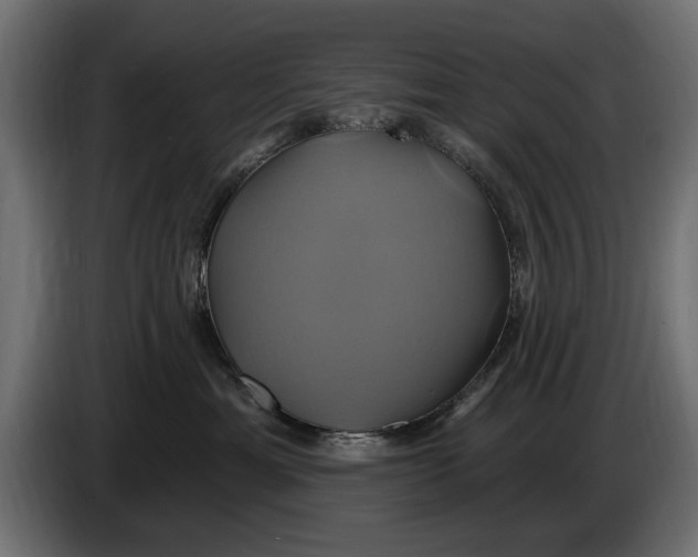 X0000086020429200704131854