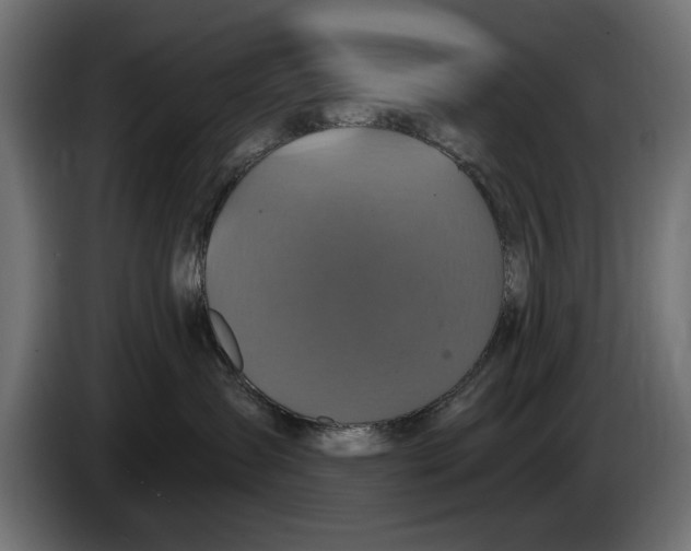 X0000086020431200704131854